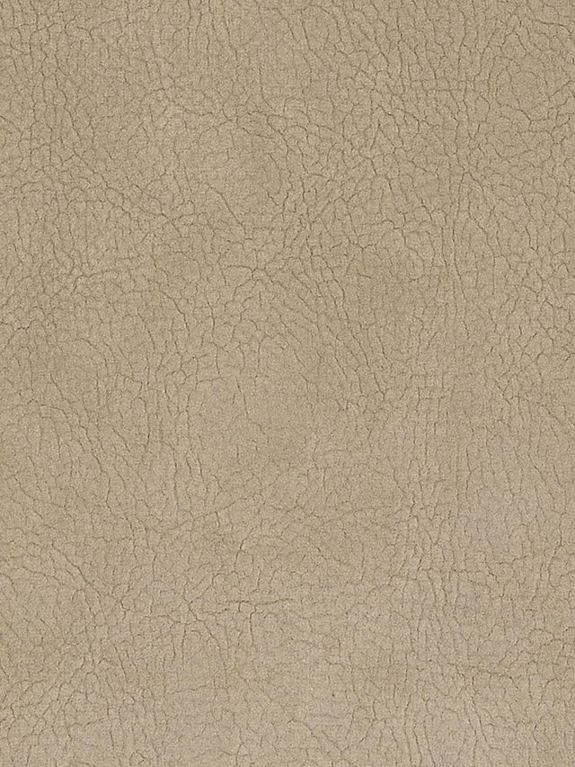 Scalamandre Georgia Suede Nubuck Fabric