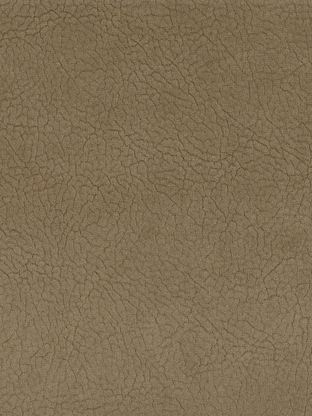 Scalamandre Georgia Suede Dune Fabric