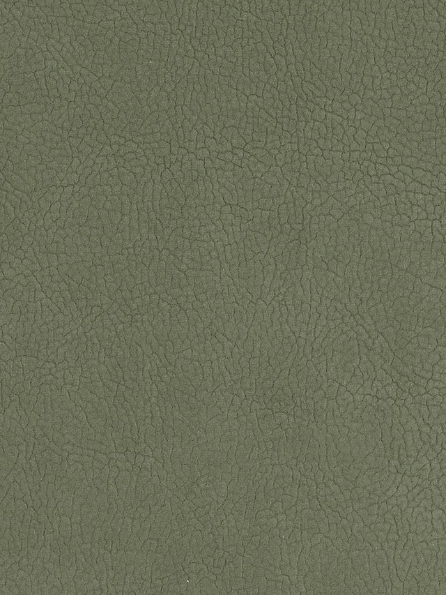 Scalamandre Georgia Suede Sage Fabric
