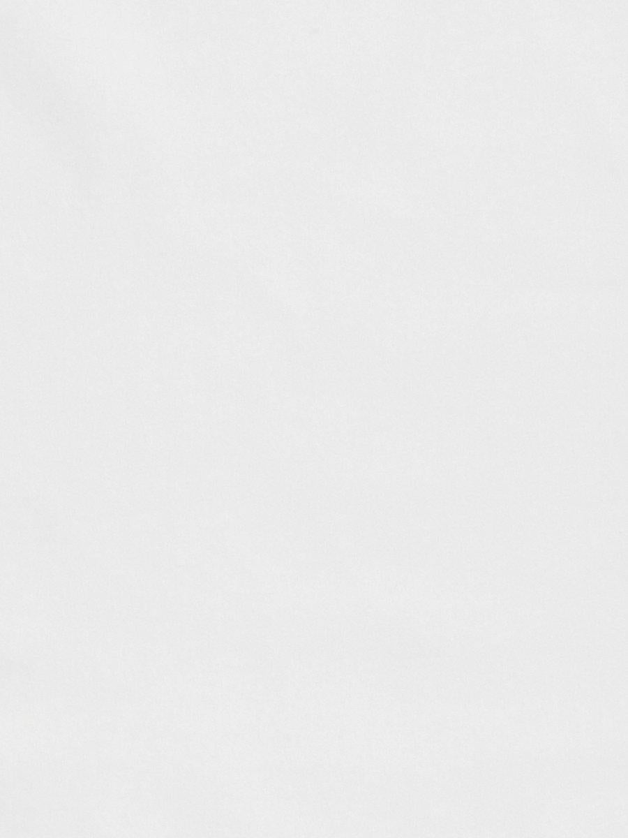 Scalamandre Bellamy White Fabric