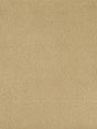 Scalamandre Bellamy Honey Fabric
