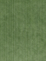 Scalamandre Strie Velvet Kelly Fabric