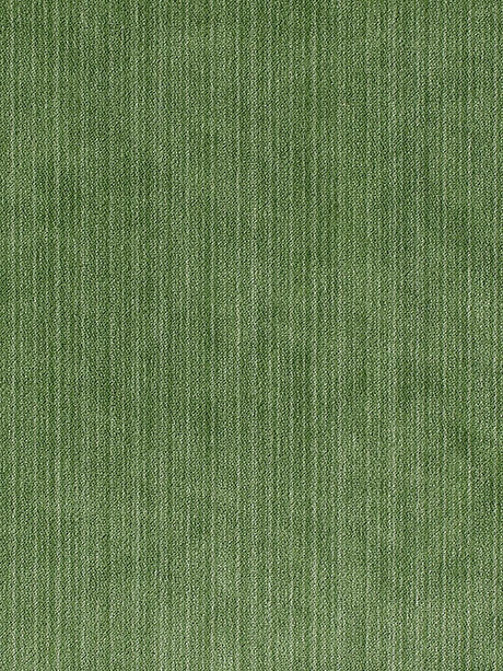 Scalamandre Strie Velvet Kelly Fabric