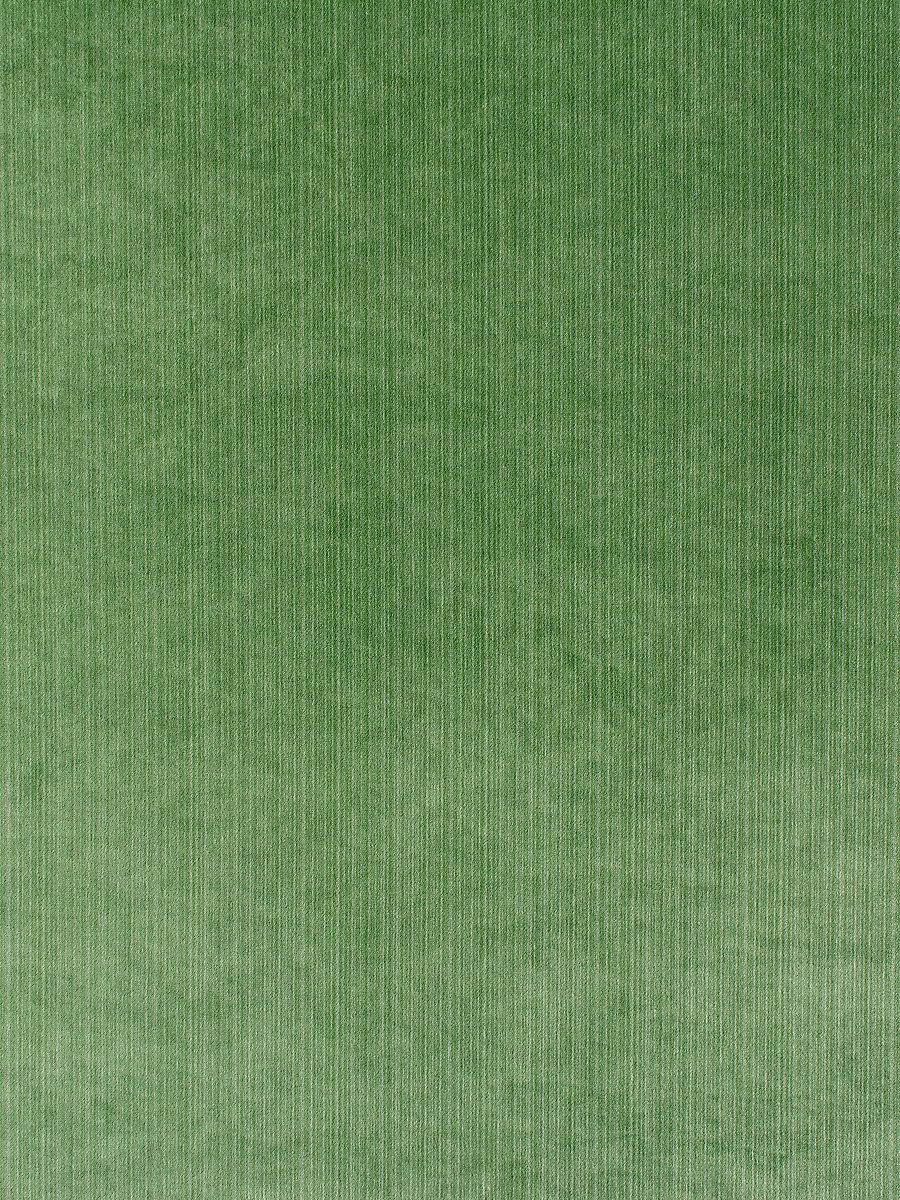 Scalamandre Strie Velvet Kelly Fabric