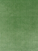 Scalamandre Strie Velvet Kelly Fabric