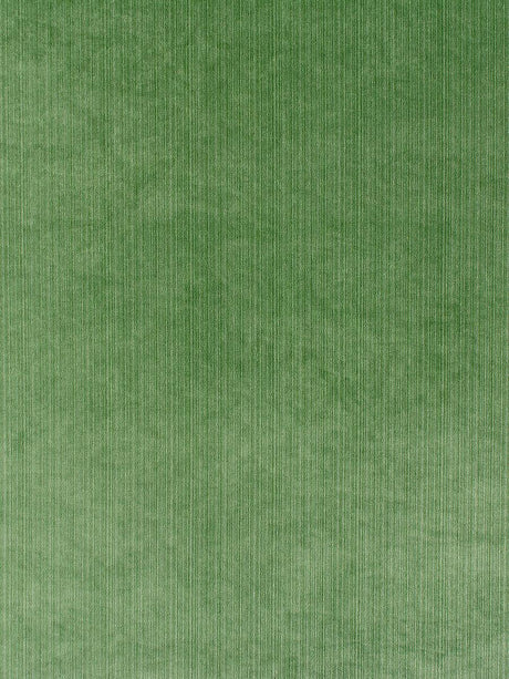 Scalamandre Strie Velvet Kelly Fabric