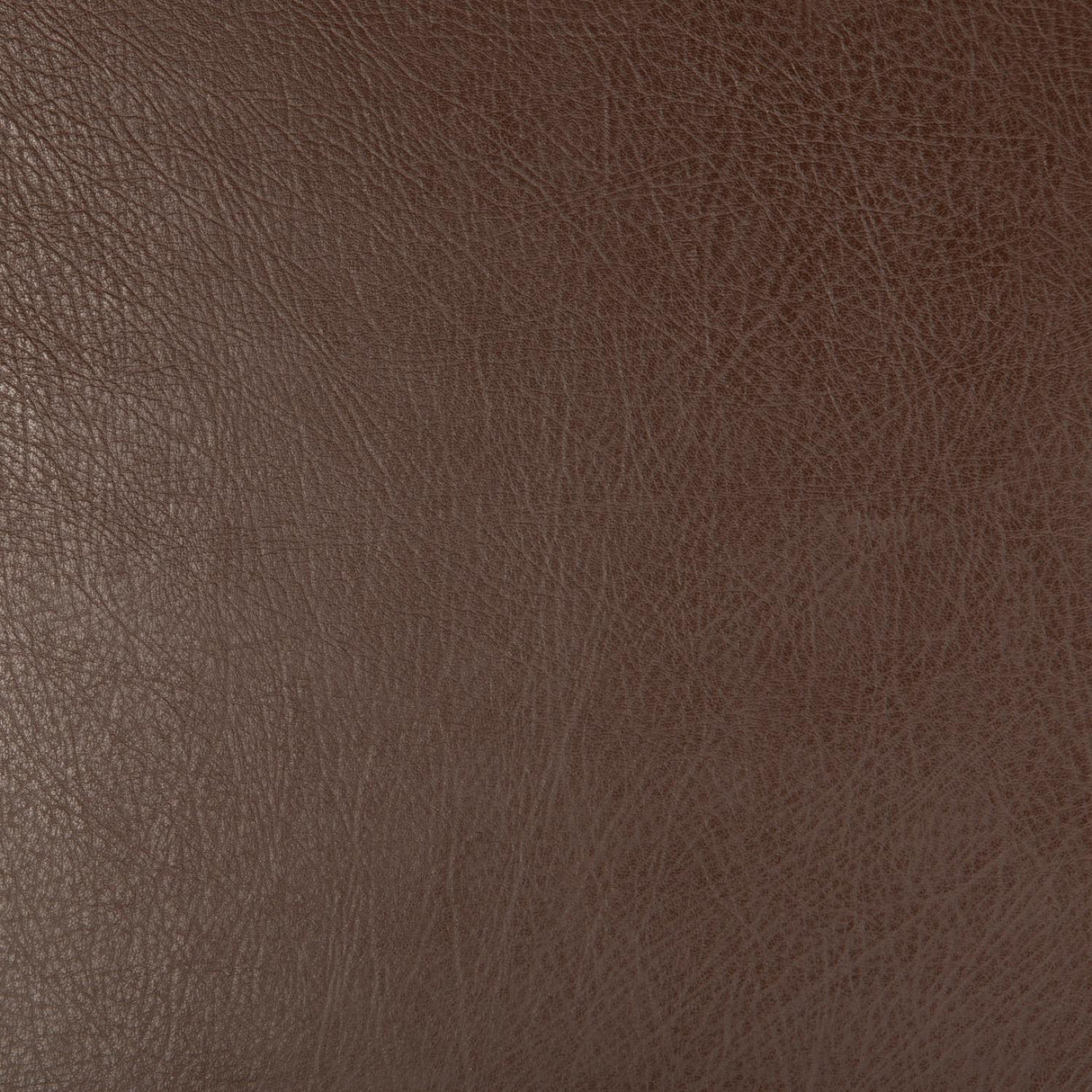 Kravet DESIGN DEIMOS 6 Upholstery Fabric