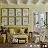 Schumacher Daydream Citron Fabric