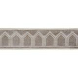 Schumacher Moonstone Vizier Velvet Tape