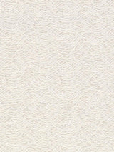 Scalamandre Olla Parchment Fabric