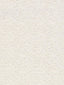 Scalamandre Olla Parchment Fabric
