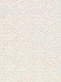 Scalamandre Olla Parchment Fabric