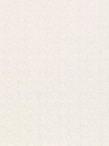 Scalamandre Olla Parchment Fabric