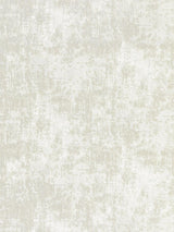 Scalamandre Tesoro Printed Velvet Moonbeam Fabric