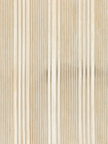 Scalamandre Pacific Stripe Champagne Wallpaper