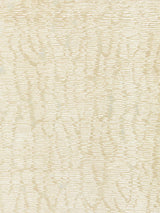 Scalamandre Rainshadow Champagne Wallpaper