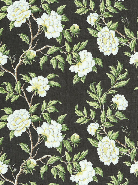 Scalamandre Peonia Linen Print Onyx Fabric