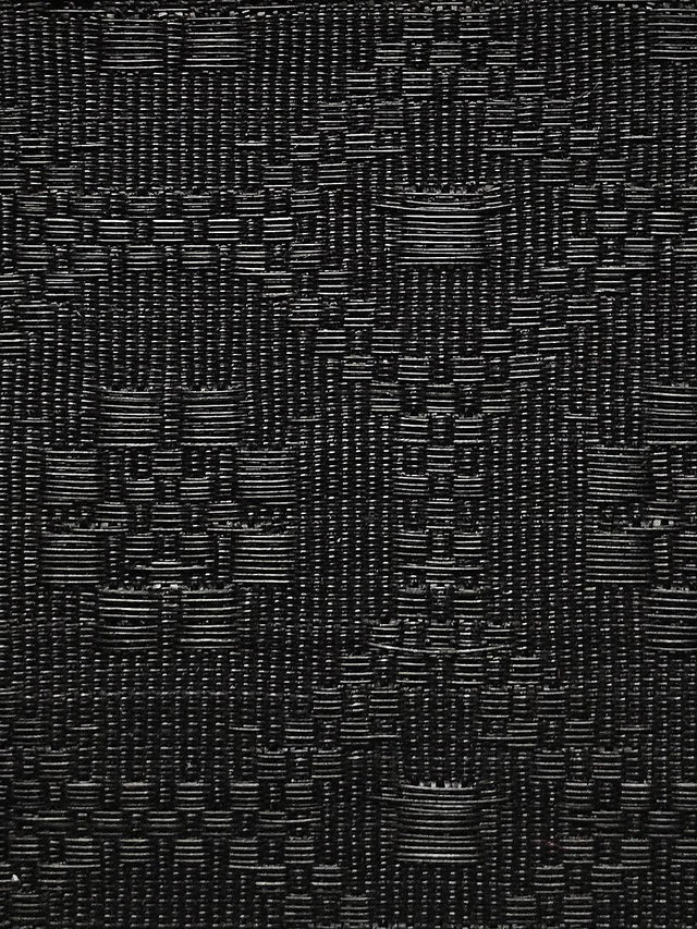 Scalamandre Holstein Horsehair Black Fabric