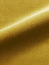 Scalamandre Linley Burnt Gold Fabric