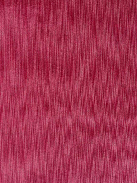 Scalamandre Strie Velvet Blossom Fabric
