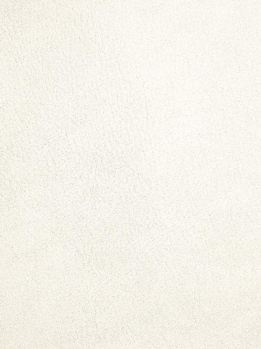 Scalamandre Palma Coton Fabric