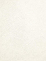 Scalamandre Palma Coton Fabric