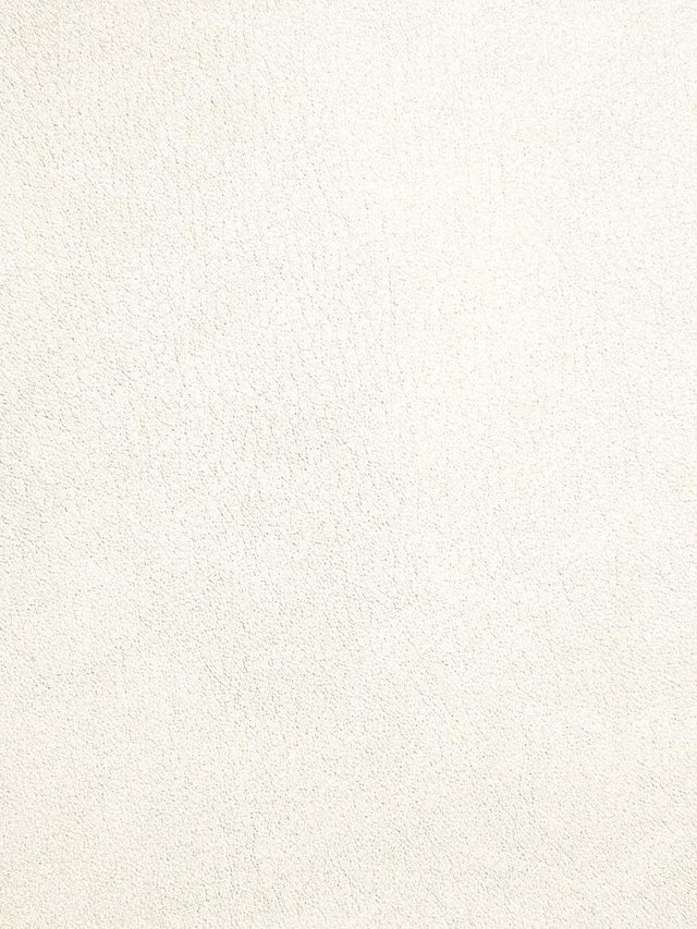Scalamandre Palma Coton Fabric
