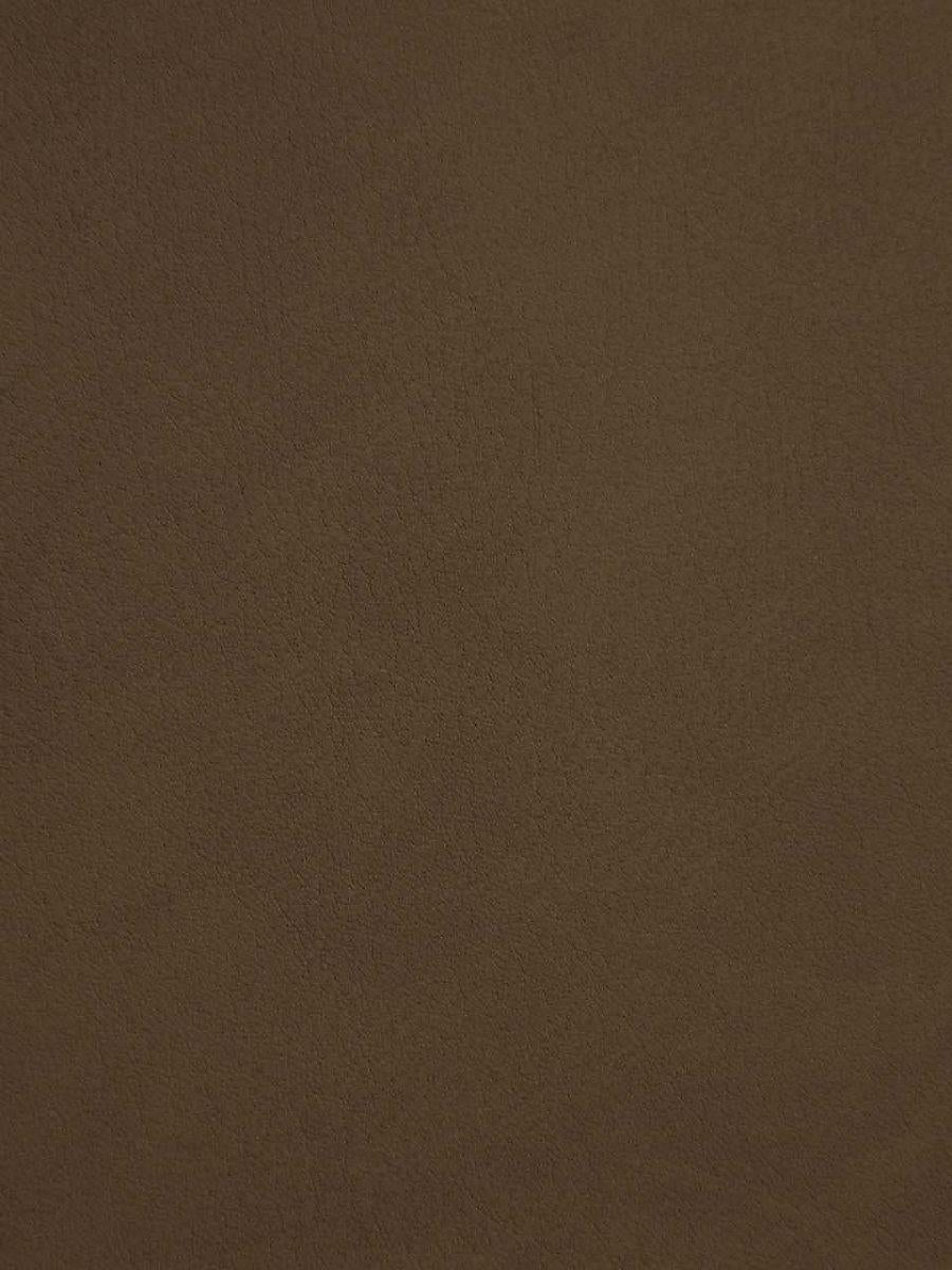 Scalamandre Palma Moka Fabric