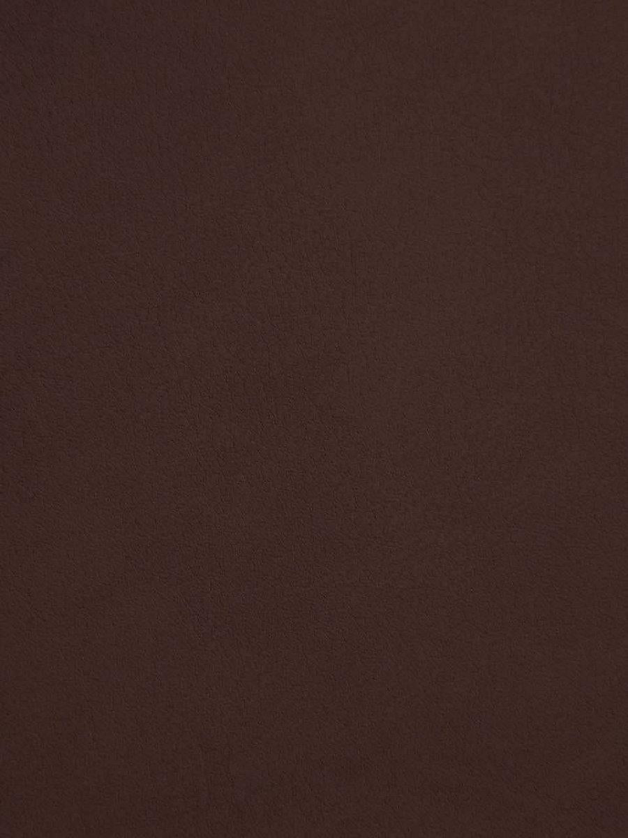 Scalamandre Palma Truffle Fabric