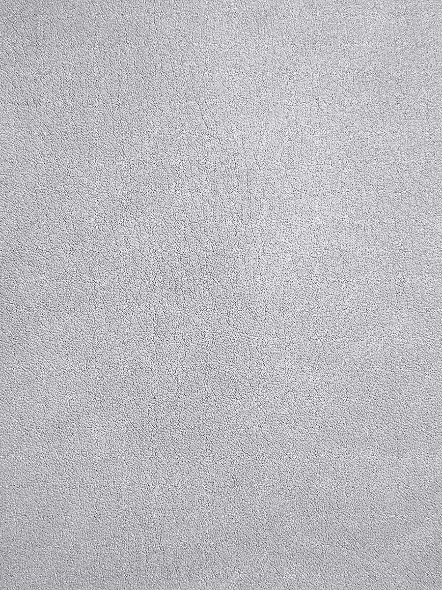 Scalamandre Palma Argent Fabric