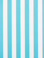 Scalamandre Awning Stripe Turquoise Fabric