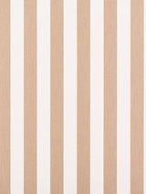 Scalamandre Awning Stripe Dune Fabric