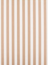 Scalamandre Awning Stripe Dune Fabric