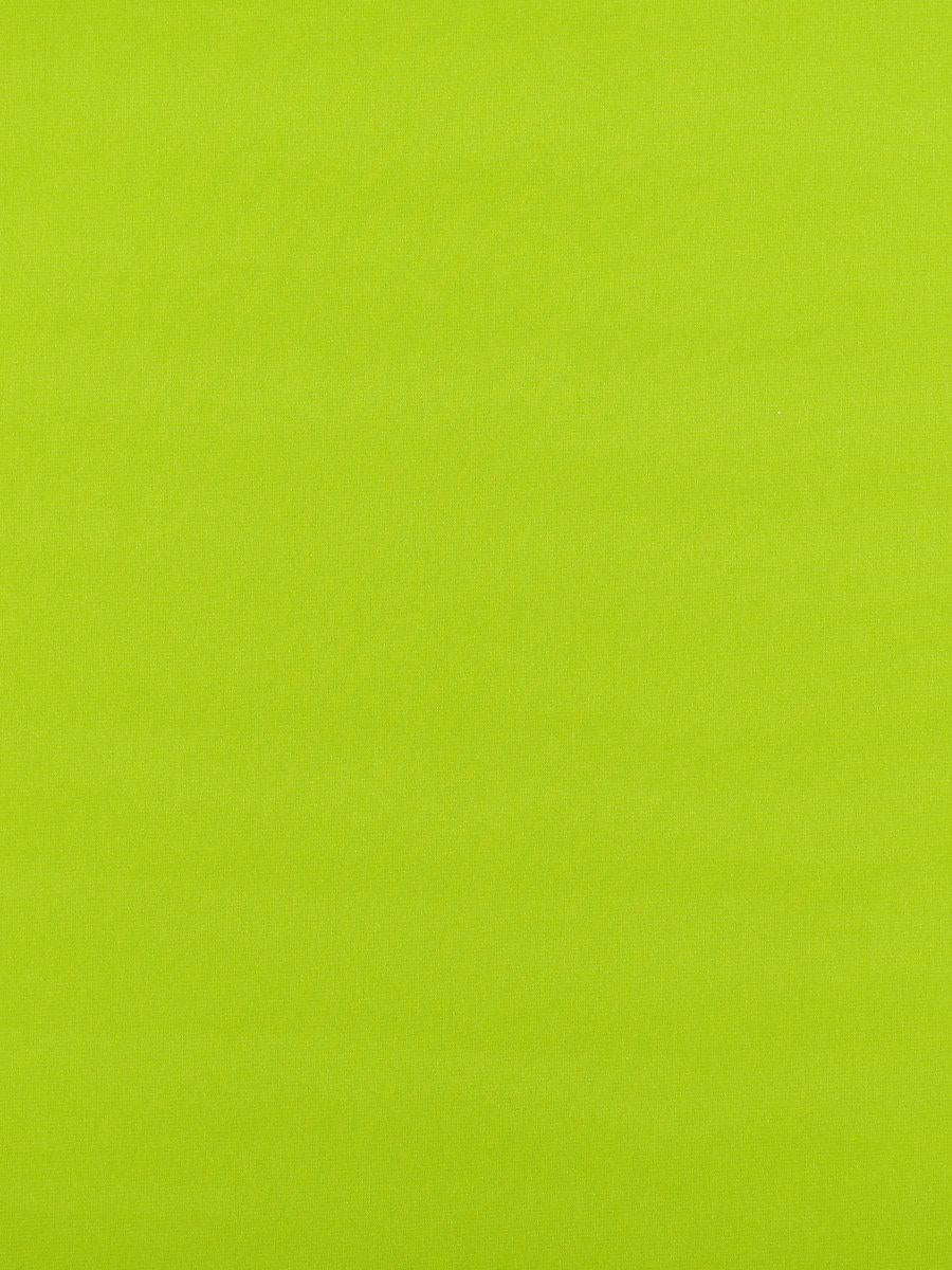 Scalamandre Reflecting Pool Grass Fabric