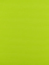 Scalamandre Reflecting Pool Grass Fabric