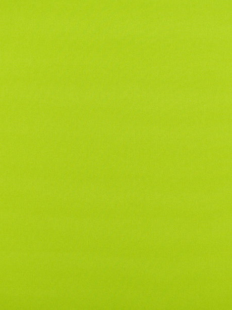 Scalamandre Reflecting Pool Grass Fabric