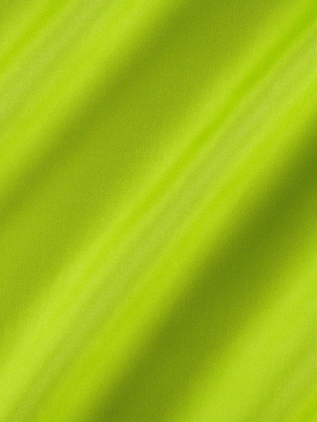 Scalamandre Reflecting Pool Grass Fabric