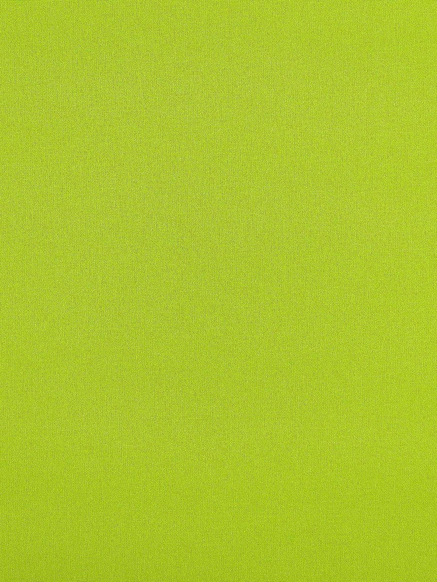 Scalamandre Reflecting Pool Grass Fabric