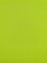 Scalamandre Reflecting Pool Grass Fabric