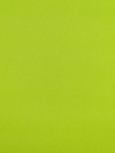 Scalamandre Reflecting Pool Grass Fabric