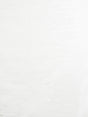 Scalamandre Aspirazione Cream Fabric