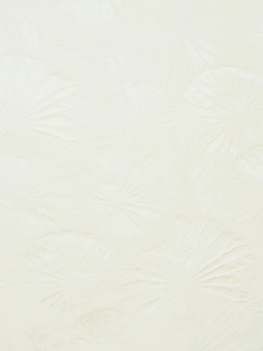 Scalamandre Lotus Cream Fabric
