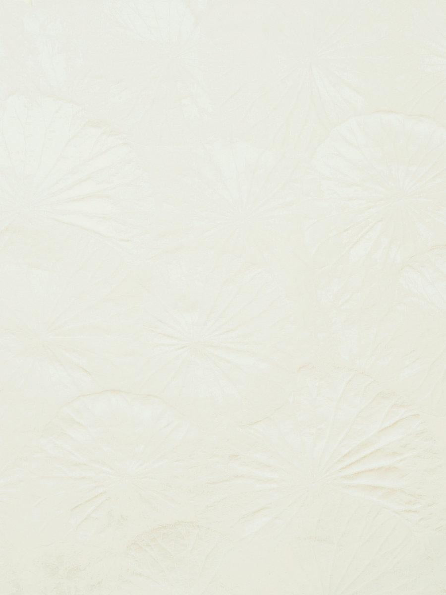 Scalamandre Lotus Cream Fabric
