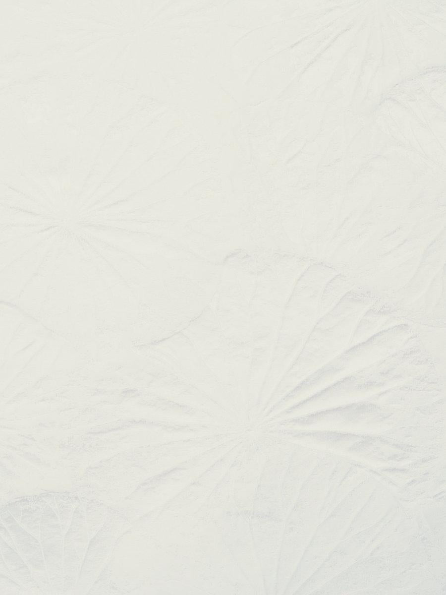 Scalamandre Lotus Cream Fabric