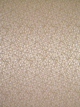 Scalamandre Streets Alabastro Fabric