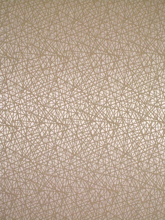 Scalamandre Streets Alabastro Fabric
