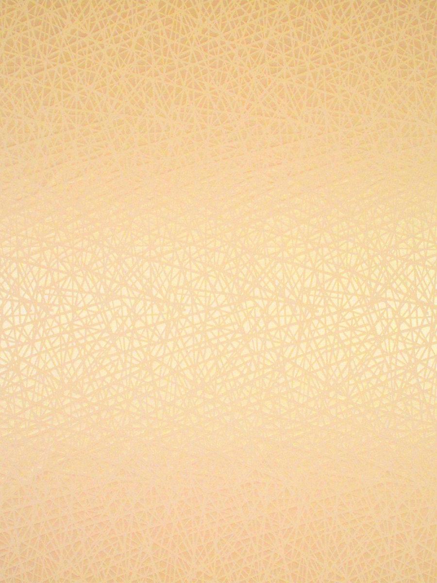 Scalamandre Streets Cipria Fabric