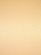 Scalamandre Streets Cipria Fabric