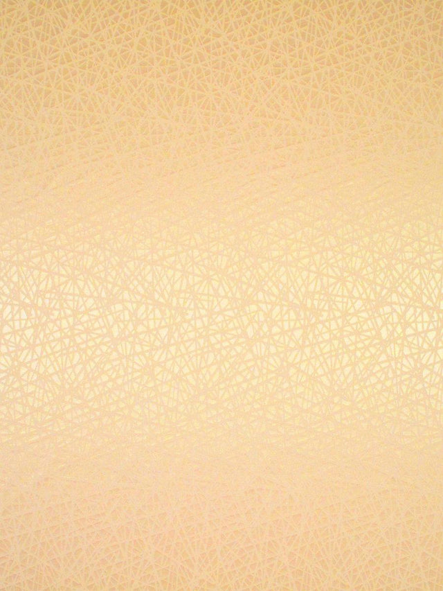 Scalamandre Streets Cipria Fabric