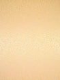 Scalamandre Streets Cipria Fabric